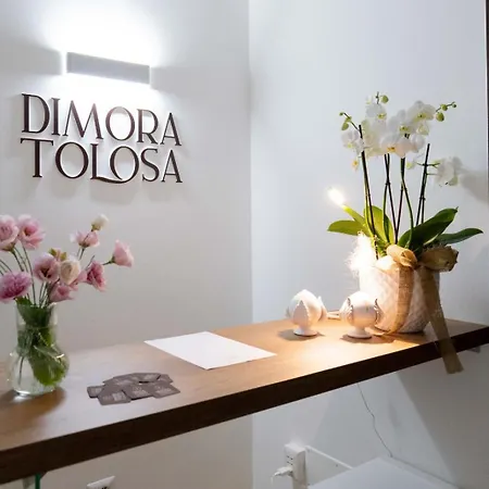 Dimora Tolosa 3*